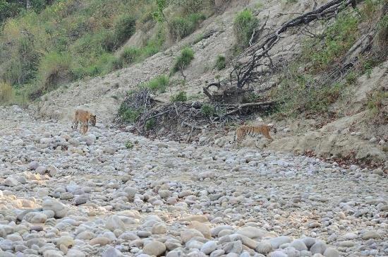 Jim Corbett Resort Ramnagar  Exterior photo